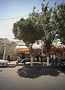 پخش عمده آجیل و خشکبار سَها نوین