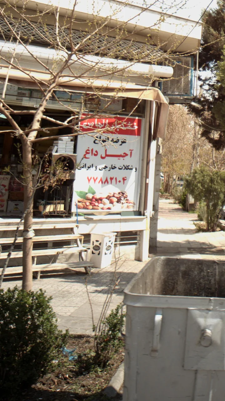 خشکبار الماس - تصویر 2