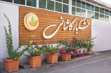 تولیدی خشکبار کاشانی