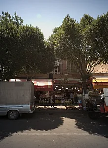 خشکبار اصغر بختیاری