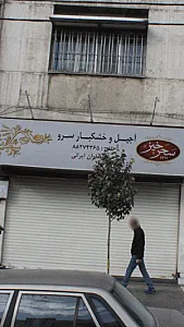 آجیل و خشکبار سرو