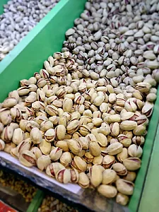آجیل و خشکبار گلچین