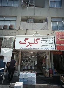 گلبرگ