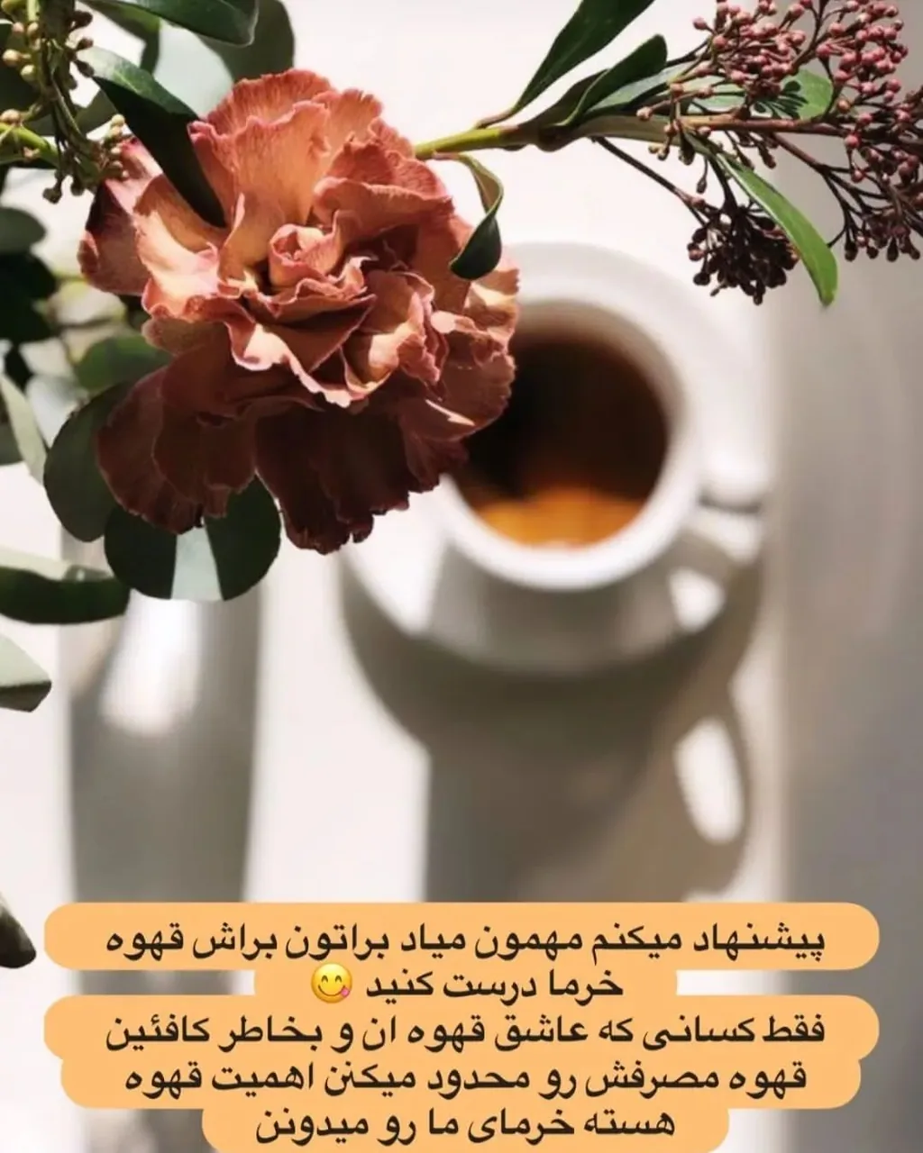آجیل و خشکبار علی - تصویر 2