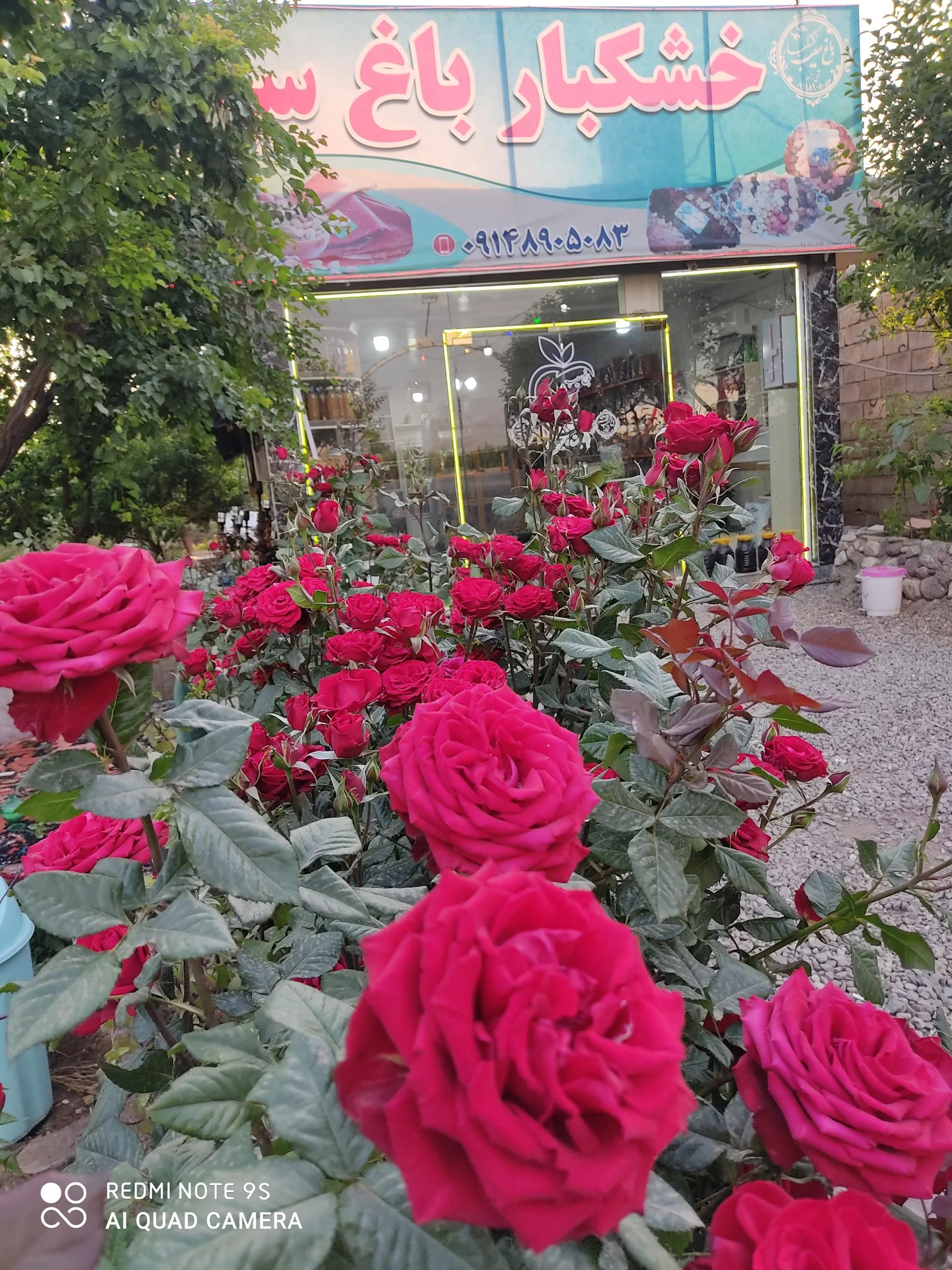 برنج فروشی و خشکبار شالیزار - تصویر 2