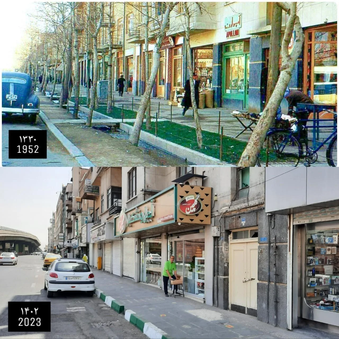 خشکبار گلچین - تصویر 2