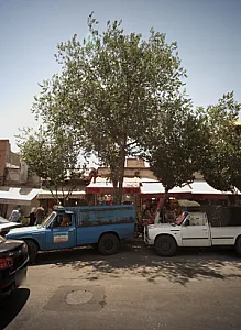 فروشگاه خوشکپاک
