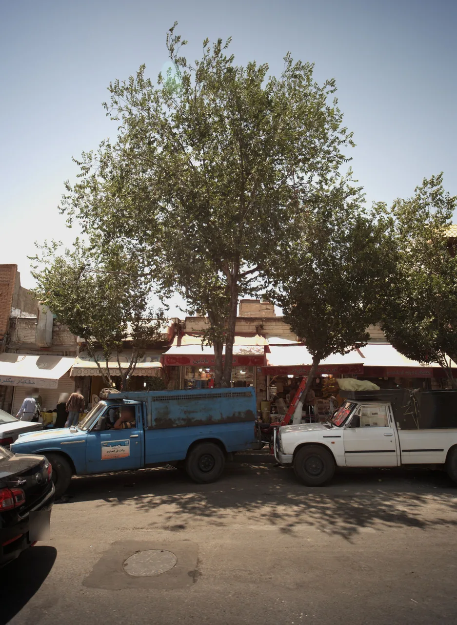 فروشگاه خوشکپاک