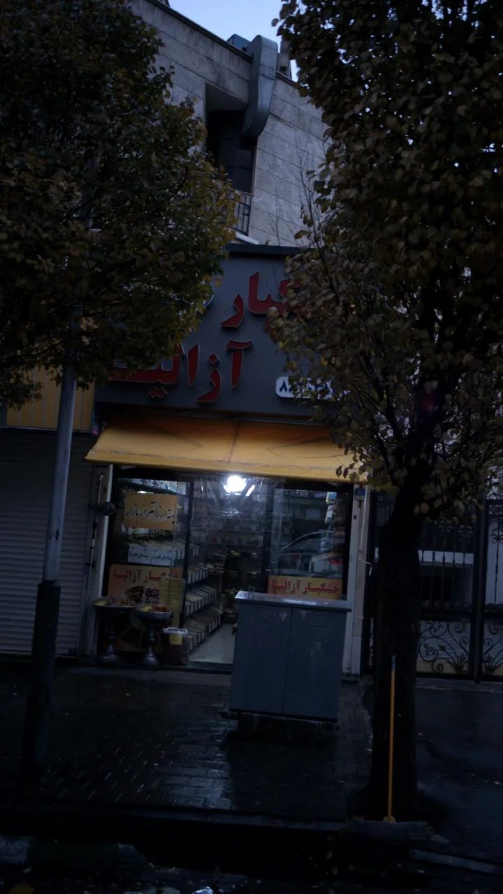 خشکبار آزالیا