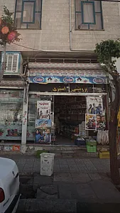 پروتئنی استیری