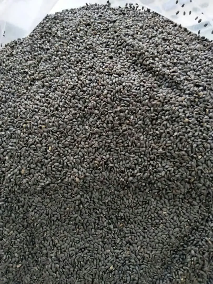 خشکبار آذربایجان
