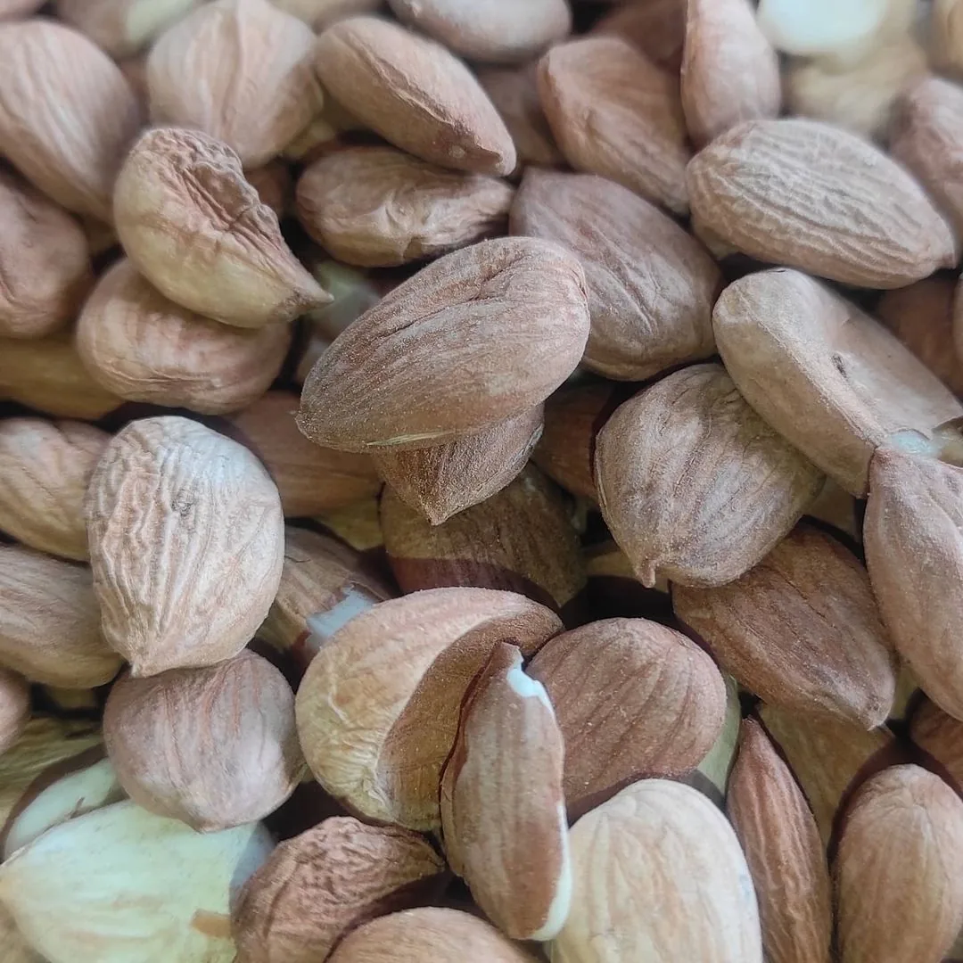 آجیل و خشکبار بابایی - بابآجیل