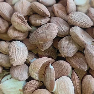 آجیل و خشکبار بابایی - بابآجیل
