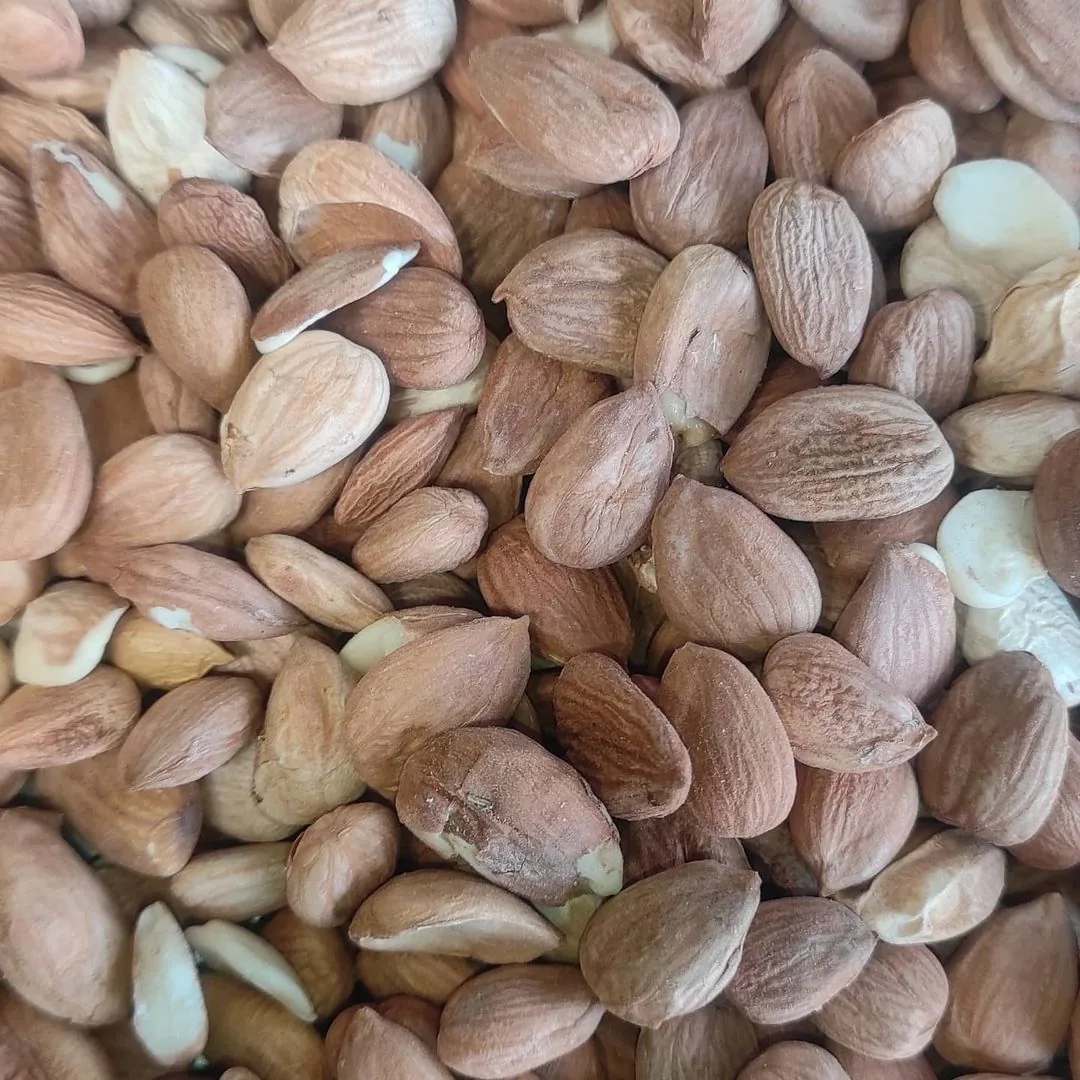 آجیل و خشکبار بابایی - بابآجیل - تصویر 2