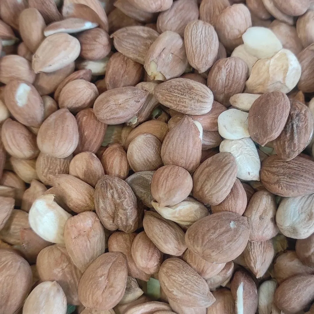 آجیل و خشکبار بابایی - بابآجیل - تصویر 3