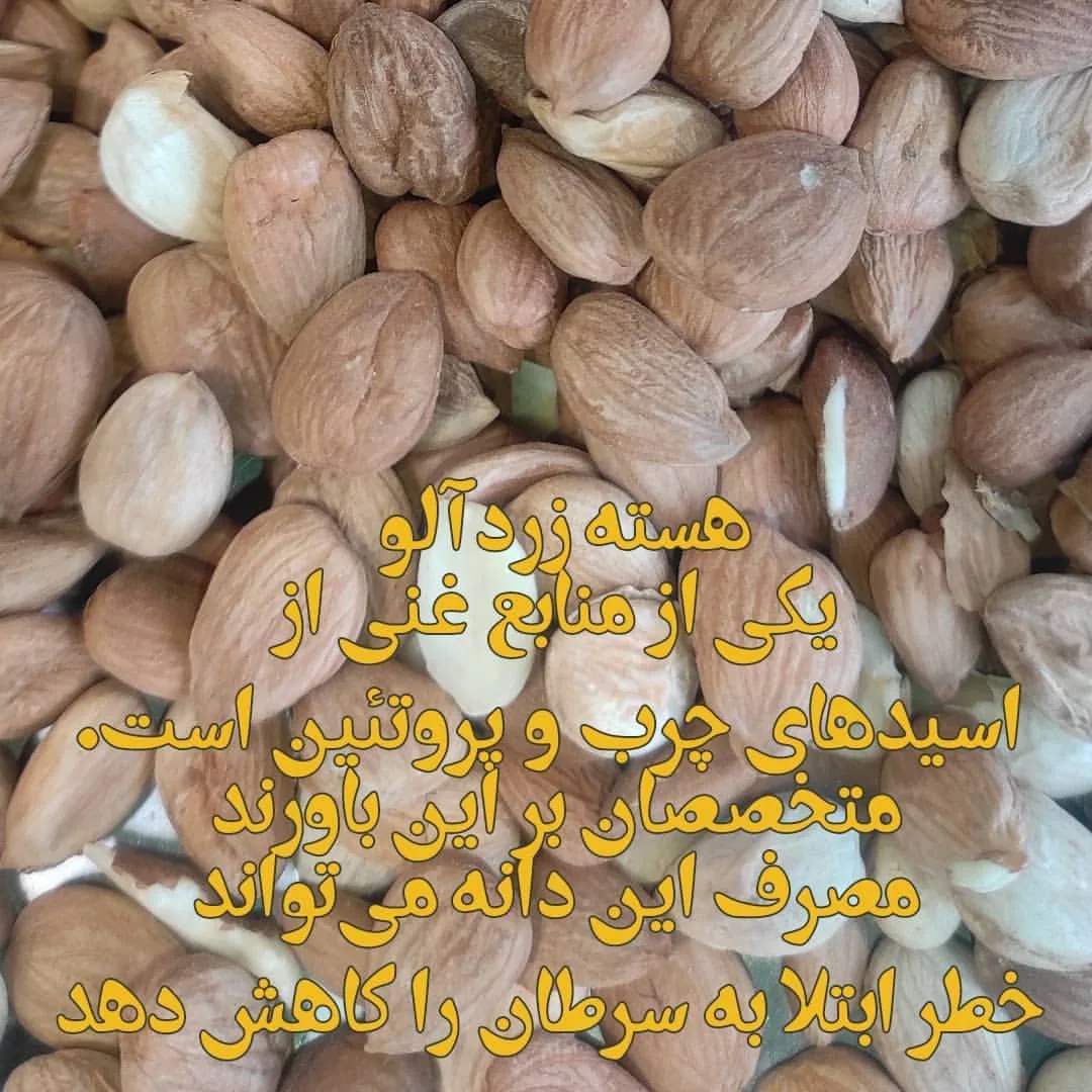آجیل و خشکبار بابایی - بابآجیل - تصویر 4
