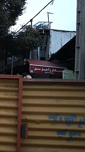 خشکبار و آجیل سبز