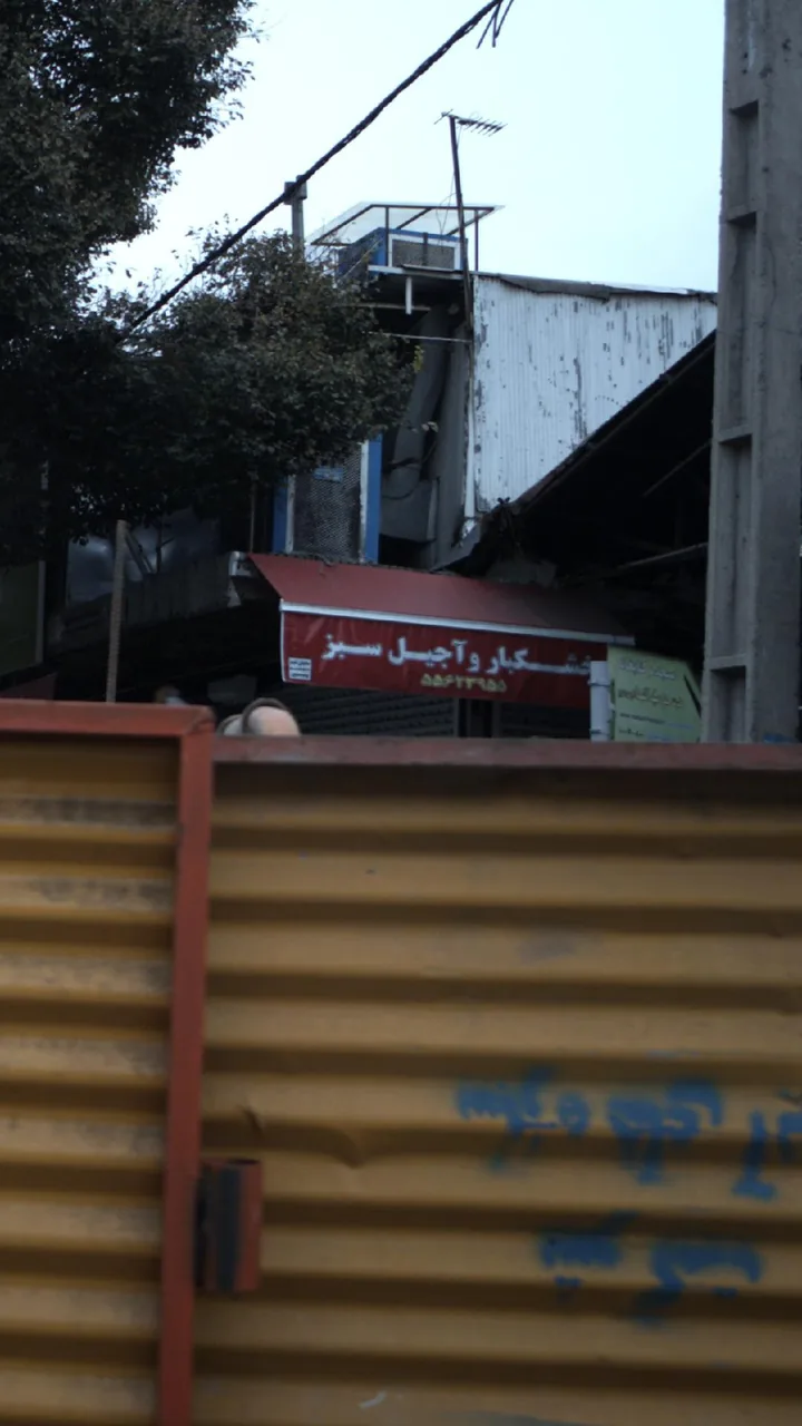 خشکبار و آجیل سبز