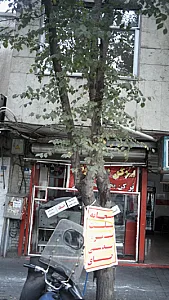 پر کن بخور
