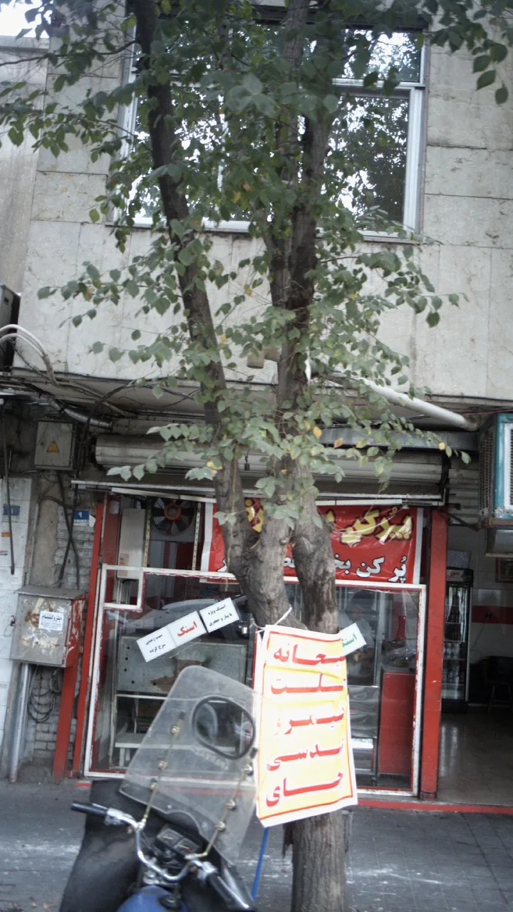 پر کن بخور