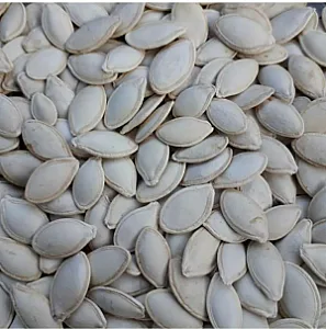 تخمه آفتابگردان خوی