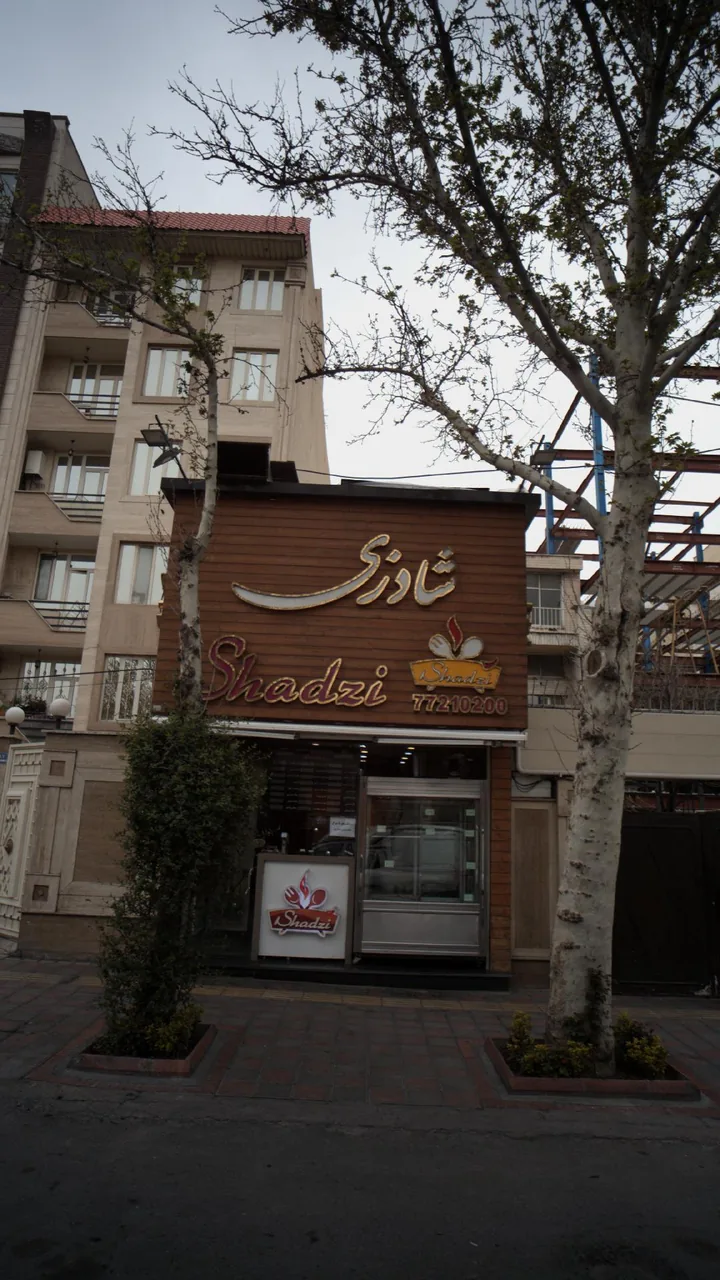 غذا خوری شادزی