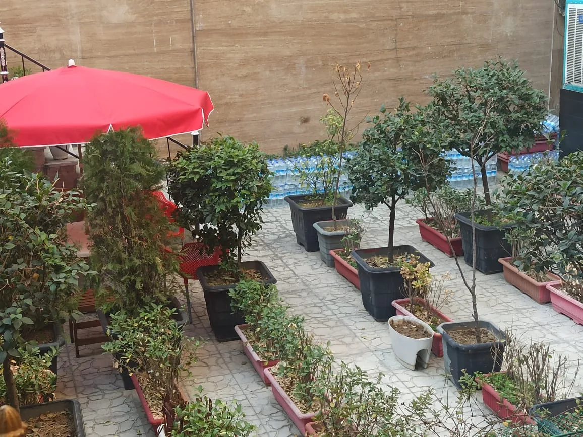 رستوران ایرانی اصل جوان - تصویر 3