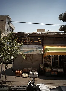 تم تولدی مرمر