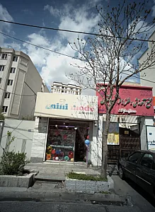 نی نی مد