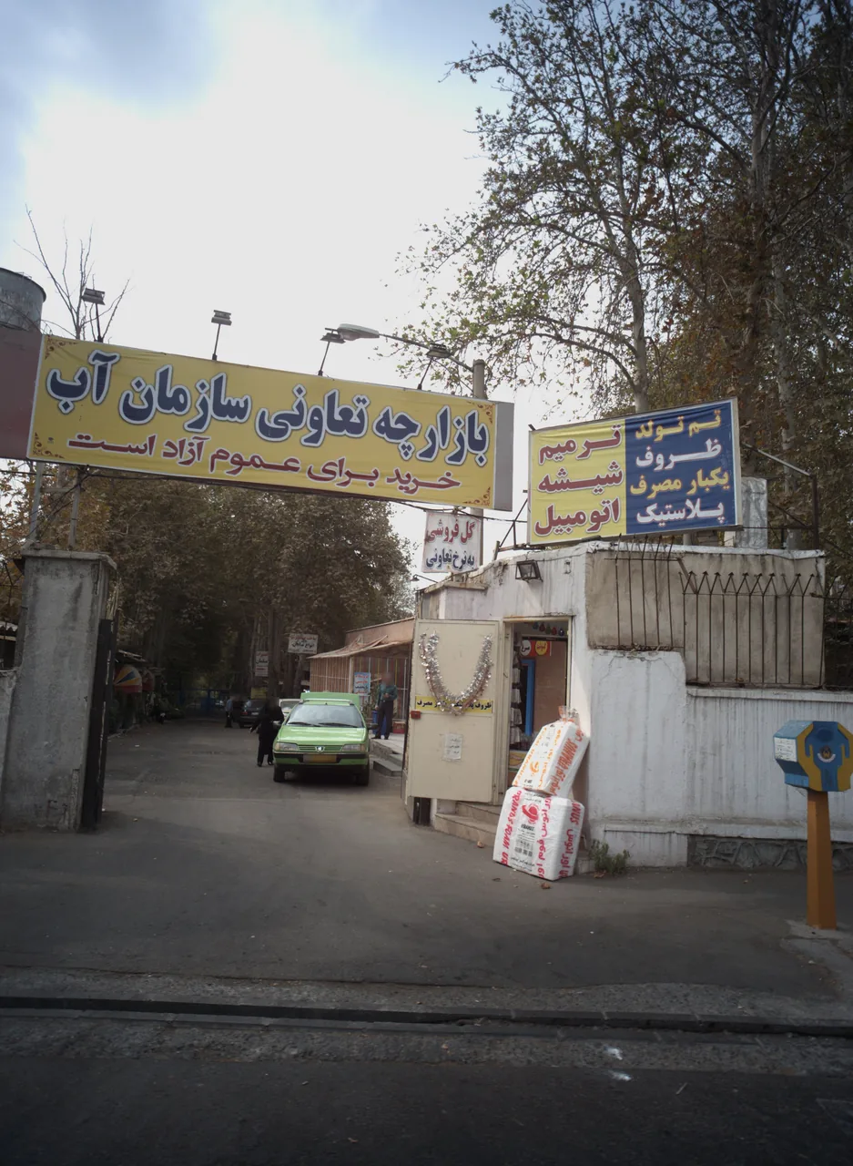 تم تولد و ظروف یکبار مصرف
