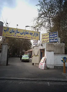 تم تولد و ظروف یکبار مصرف