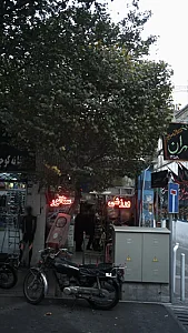 ورزشی سناتور