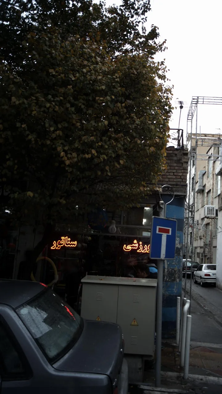 ورزشی سناتور - تصویر 3