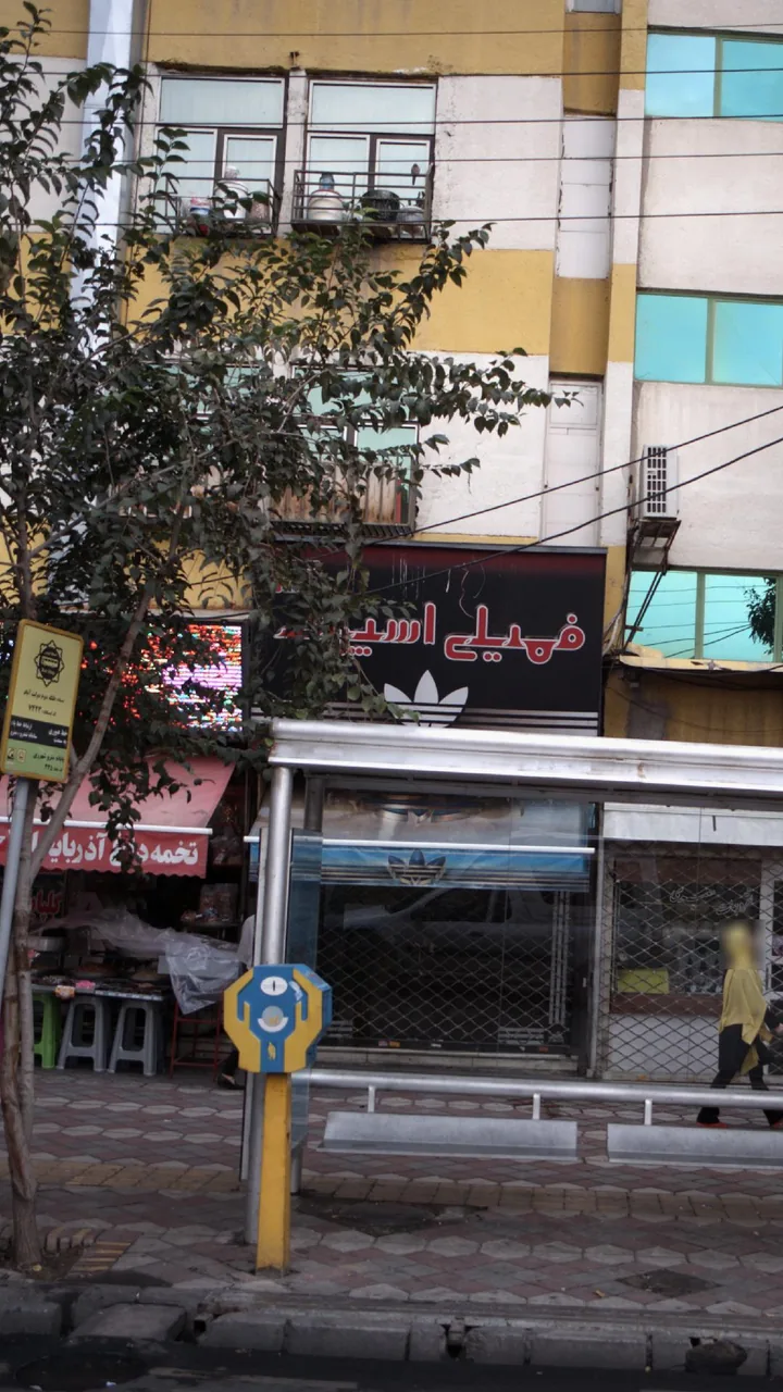 فمیلی اسپرت - تصویر 2