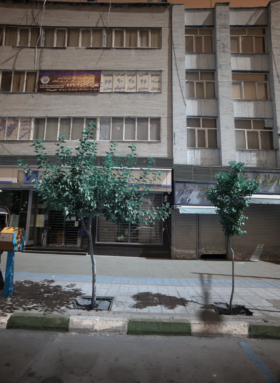 ورزشی داود