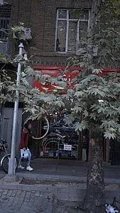 لوازم ورزشی فراهانی