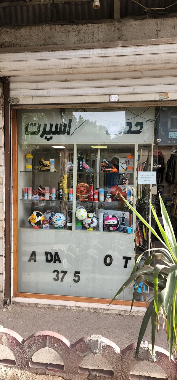 وحدت اسپرت