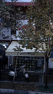 فروشگاه سلیمی
