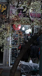 آی تک اسپرت