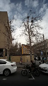 فیزیوتراپی صدرا