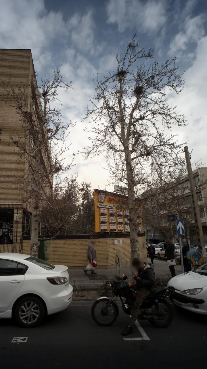 فیزیوتراپی صدرا