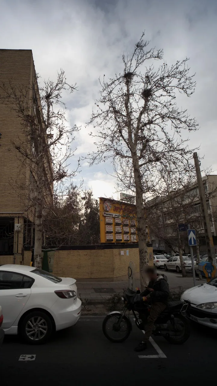 فیزیوتراپی صدرا - تصویر 2