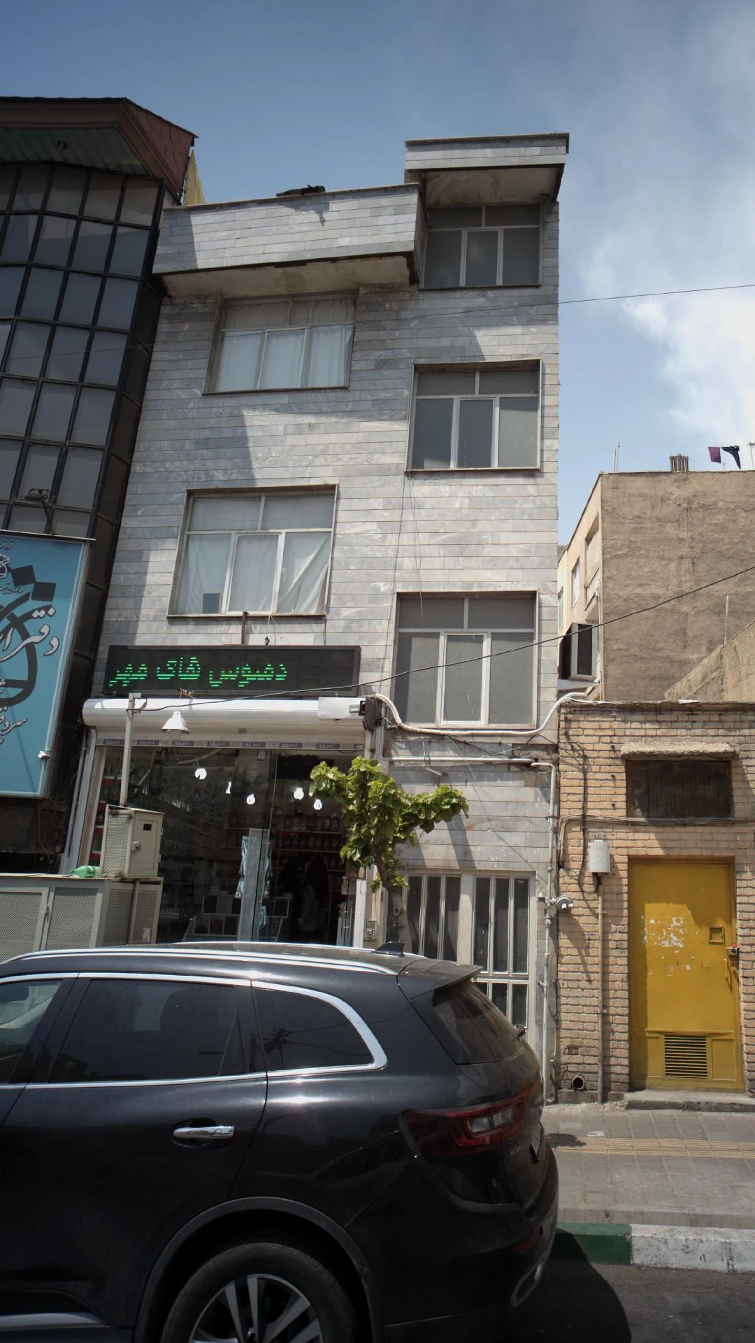 گیاهان دارویی کاج - تصویر 2
