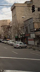 گیاه خانه ناردین