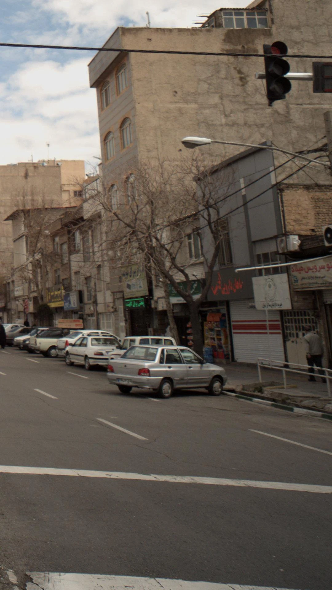 گیاه خانه ناردین