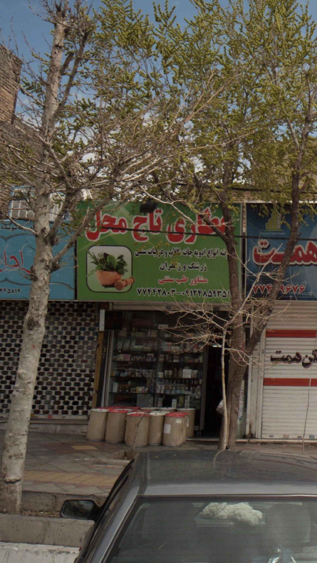 گیاه خانه ناردین - تصویر 2