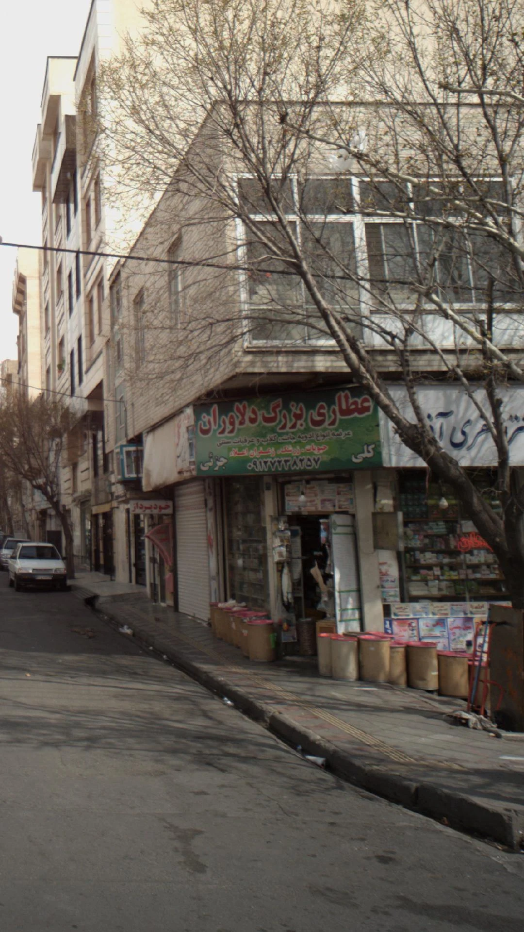 گیاه خانه ناردین - تصویر 3