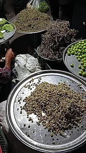 زرگری قانع وند