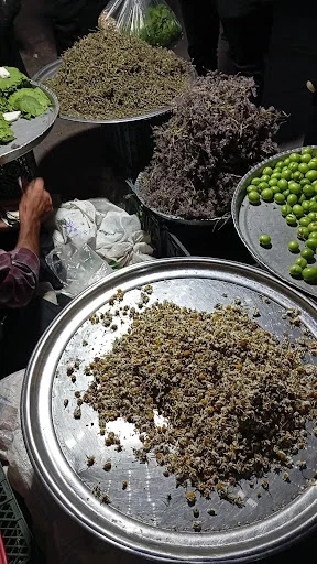 زرگری قانع وند