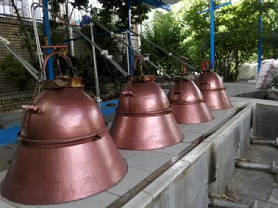 گلاب دوآتشه عرقیجات گیاهی ومعجون شمیم گل